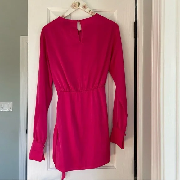 Hello Molly SWIFT AND CLEAN DRESS Fuchsia - Picture 8 of 10